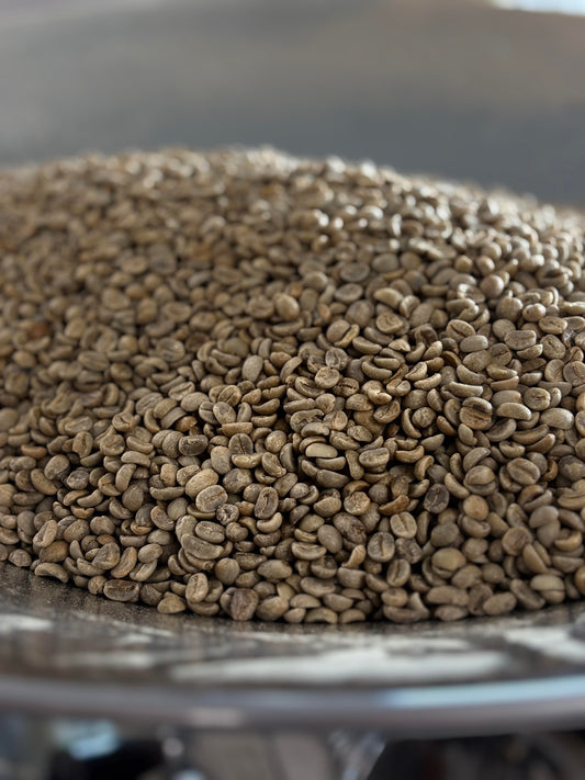 Ethiopian